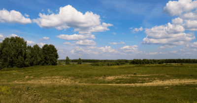 Weites Feld, mit Bäumen, viel grün und einem blauen Himmel mit ein paar Wolken